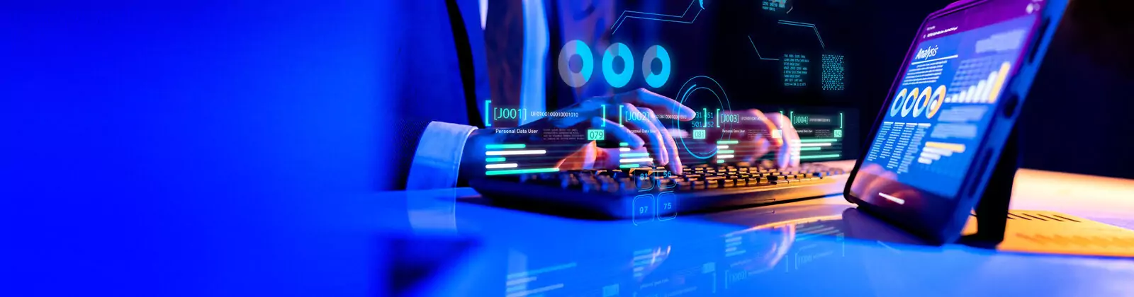 Custom Development Solutions